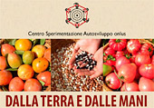 Logo manifestazione