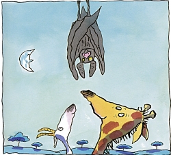 gisella pipistrella