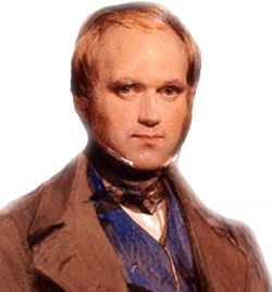 Darwin